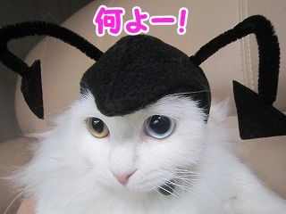 もえ (90)