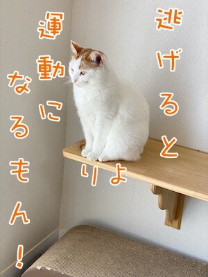 りよ326