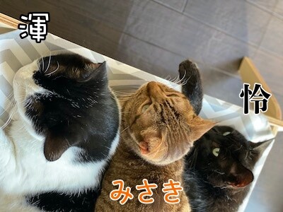 みんな450