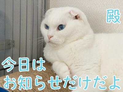 殿24