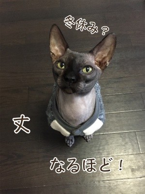 丈