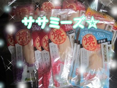 その他 (4)