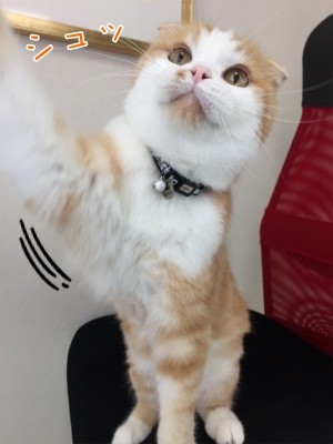 珠若137
