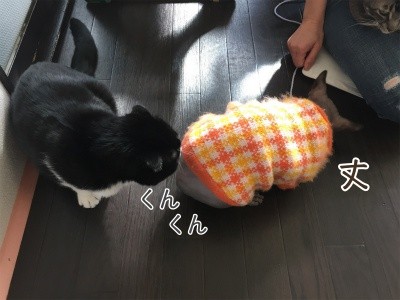 澪16