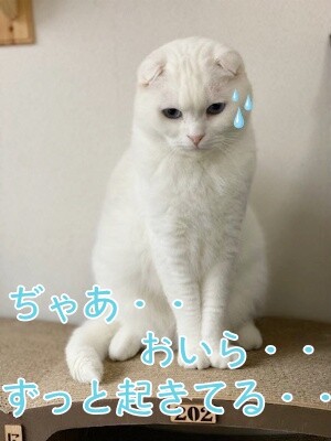 殿957