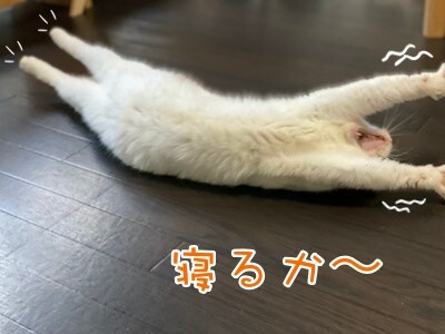 りよ28
