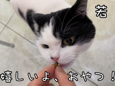 珠若593