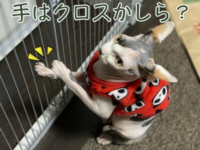 じゅり124