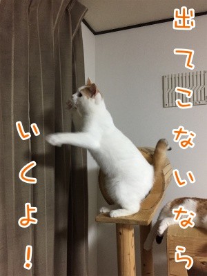 りよ18