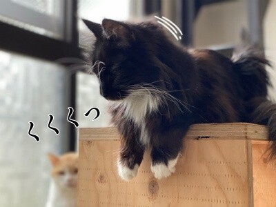 勇120