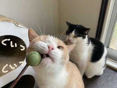 その他46