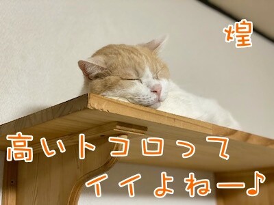 煌328