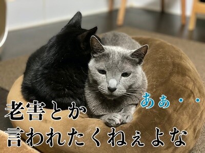 みんな606
