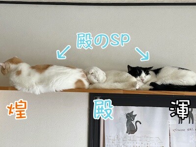 みんな1216
