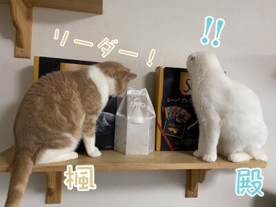 みんな1616