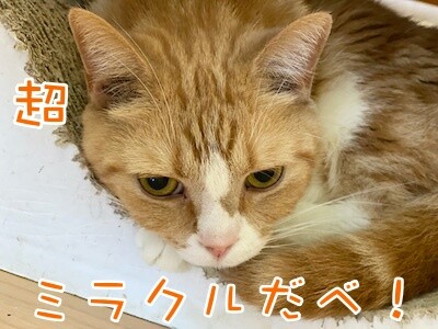 超4