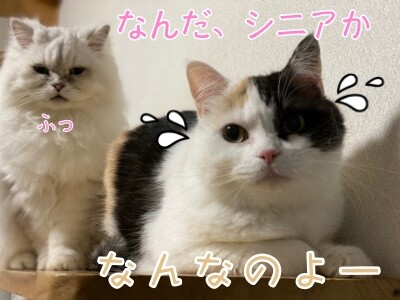 みんな2006