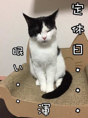 渾10