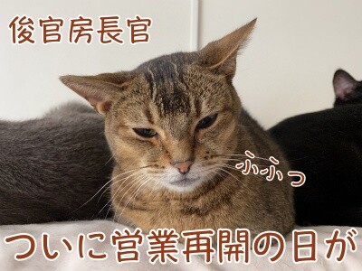 俊334