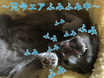 京247