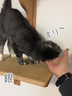 銀128