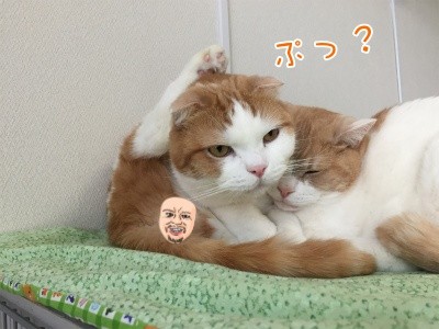辰128