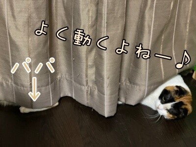 いよ448