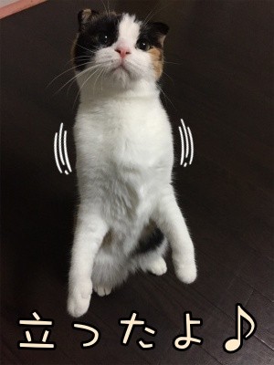 いよ129