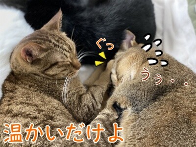みんな1749