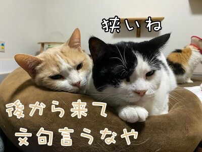 みんな1397