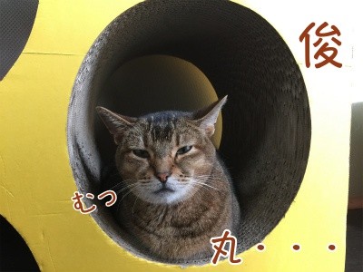 俊180