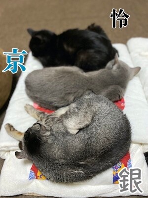 みんな1324