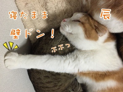 辰25