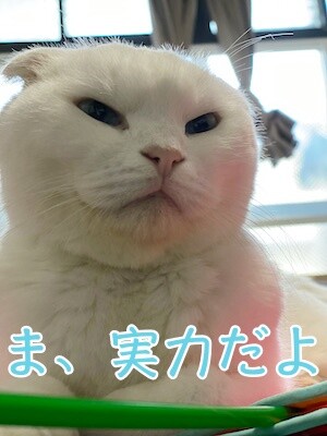 殿207