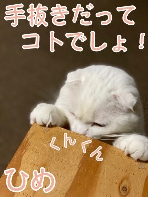 ひめ322