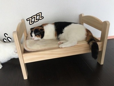 いよ222
