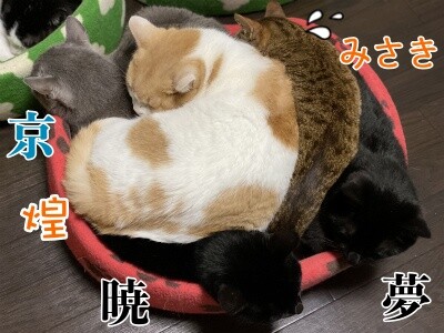 みんな2817