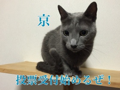 京1