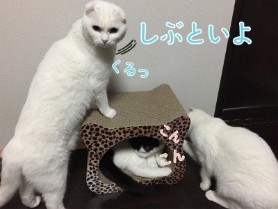 みんな915