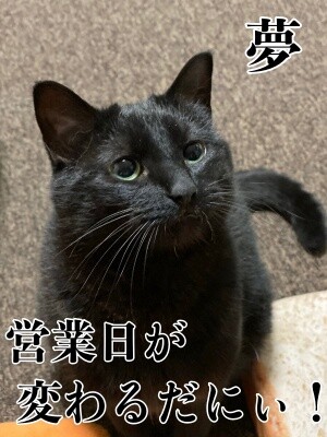 夢121