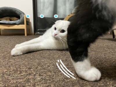 殿773