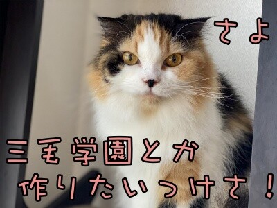 さよ71