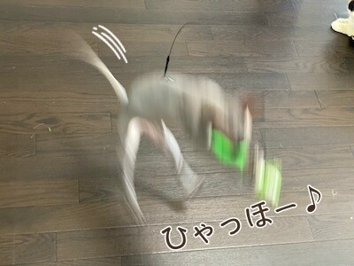 喜42