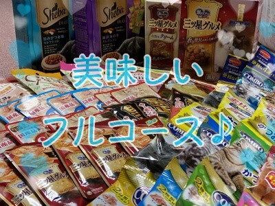 その他210