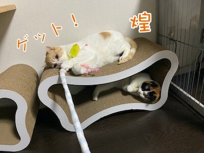 みんな616