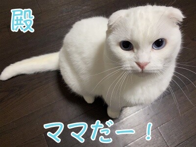 殿690