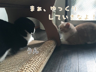 澪21
