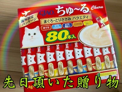 その他85