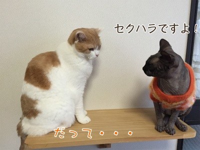 みんな128