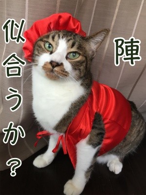 陣4